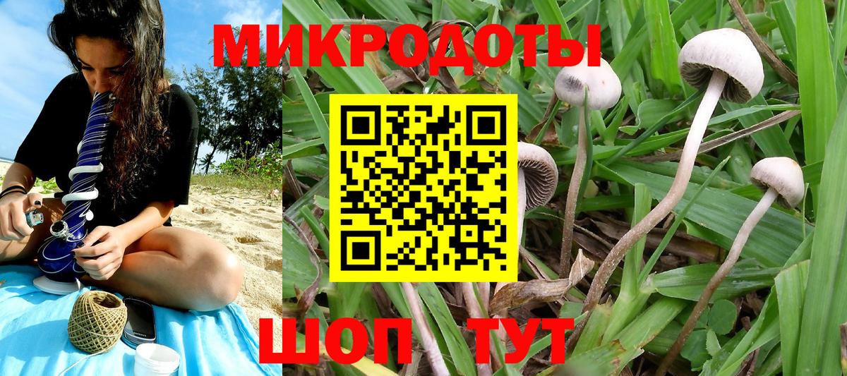 Галлюциногенные грибы ЛСД  Псилоцибиновые грибы Magic Shrooms  Невинномысск  Вход с VPN 